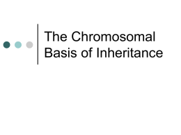The Chromosomal Basis of Inheritance