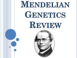Mendelian Genetics Review - Curwensville Area School District