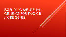 Extending Mendelian Genetics for two or more genes
