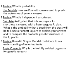Ch 11 Introduction to Genetics