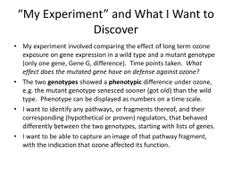 “My Experiment” and What I Want to Discover