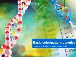 Basic Color Genetics Seminar