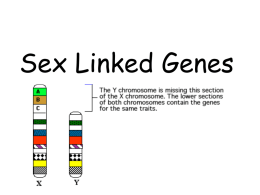 Sex Linked Genes