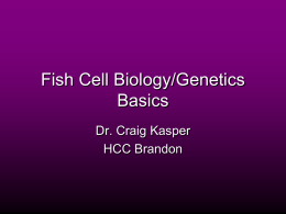 Fish Cell Biology/Genetics Basics