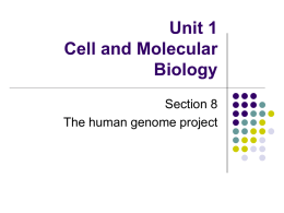 Section 8 – The human genome project