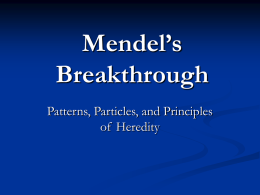 Mendel`s Breakthrough