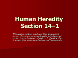 Section 14–1 Human Heredity