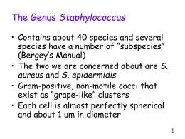 Genus Staphylococcus