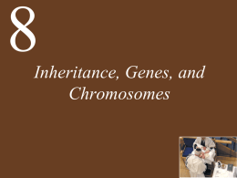 Ch08_complete-Inheritance,_Genes