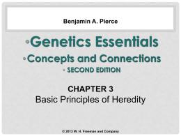 Genetics Essentials 2e