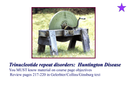 Trinucleotide repeat disorders: Huntington Disease