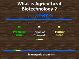 What is Agricultural Biotechnology? Some of the Issues with GM Crops
