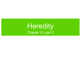 Ch12b_Heredity