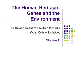 Chapter 2: The Human Heritage: Genes and the Environment