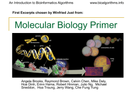 Molecular Biology Primer 1