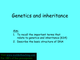 Inheritance Assessment
