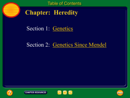 Genetics Since Mendel A. Incomplete Dominance