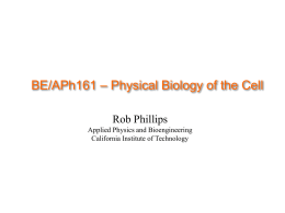FinalLecture - Rob Phillips Group