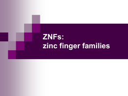 Zinc finger family