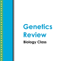 Genetics Review