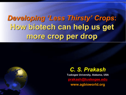 Developing `Less Thirsty´ Crops: How biotech can help us get more