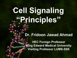 Slide 1 - King Edward Medical University