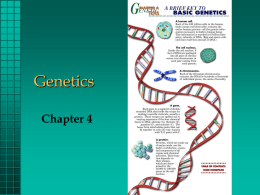 Genetics 1