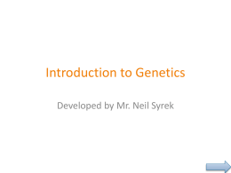 Genetics Stand Alone Instructional Resource