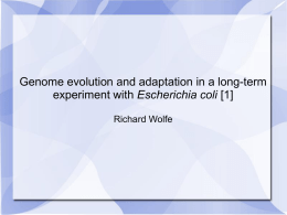 E. coli Genome Evolution and Adaptation
