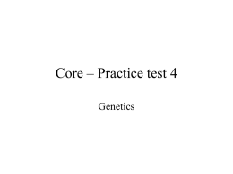 Core – Practice test 4