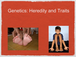 Heredity PowerPoint