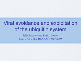 Viral avoidance and exploitation of the ubiquitin system