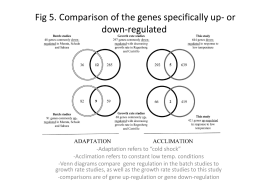 Fig 5. Comparison of the genes specifically up- or down