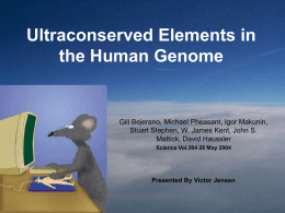 Ultraconserved Elements in the Human Genome