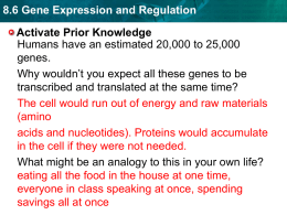 8.6 Gene Expression and Regulation