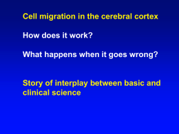 Migration Medicine