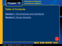 Chapter 12: Inheritance Patterns and Human Genetics