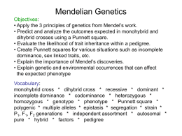 Advanced Biology\AB U9 Mendelian Genetics