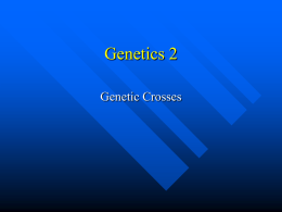 10.2 Genetics 2 - Mendel, etc Higher level only