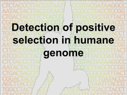 Detection of positive selection in humane genome