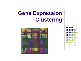 Gene Expression : Clustering
