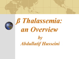 The Profile of Beta Thalassemia In Palestine