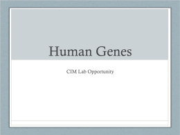 PP for Human Genes Investigation