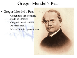 Mendel and Punnett Notes