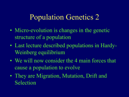 Population Genetics 2