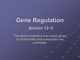 Gene Regulation Section 12–5