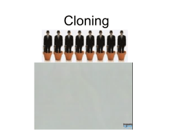 Cloning Powerpoint