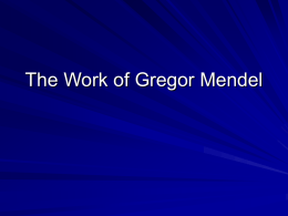 The Work of Gregor Mendel