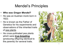 Genetics: The Work of Gregor Mendel