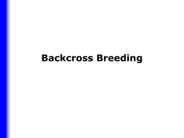 Backcross Breeding